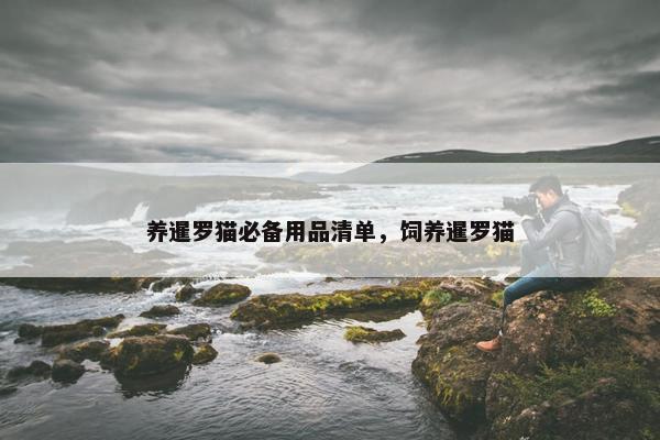 猫咪 第13页