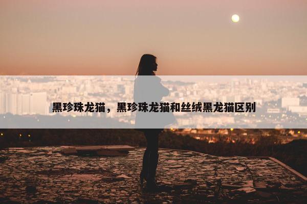 黑珍珠龙猫，黑珍珠龙猫和丝绒黑龙猫区别