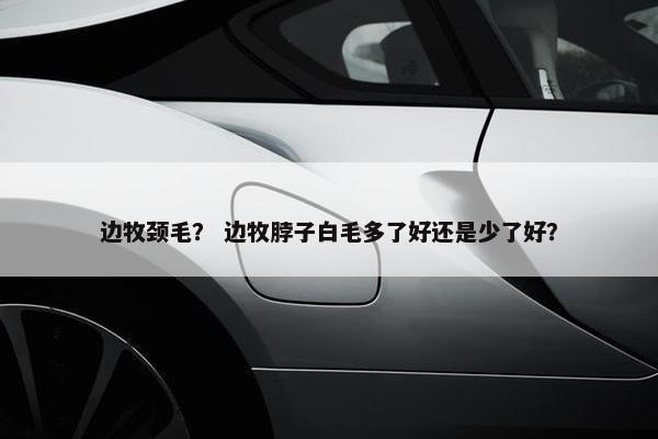 边牧颈毛？ 边牧脖子白毛多了好还是少了好？