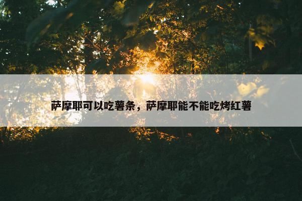 萨摩耶可以吃薯条，萨摩耶能不能吃烤红薯