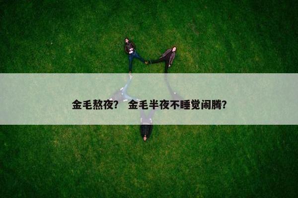金毛熬夜？ 金毛半夜不睡觉闹腾？