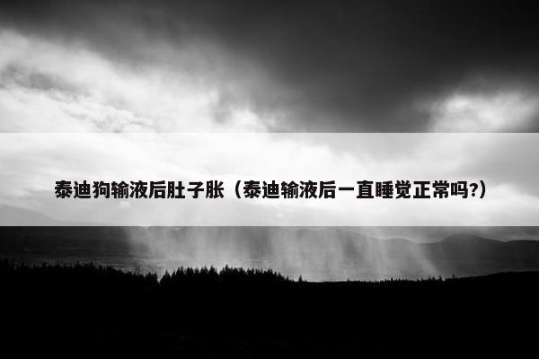 肚子