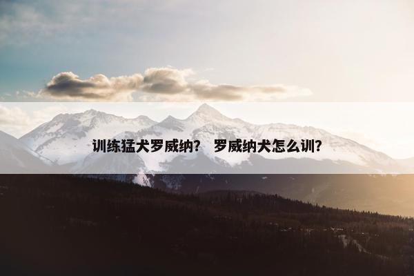 训练猛犬罗威纳？ 罗威纳犬怎么训？