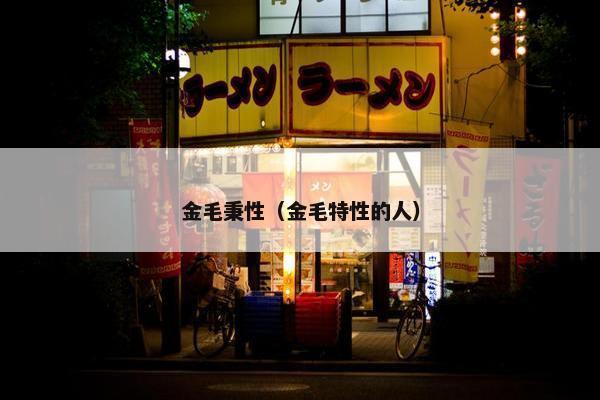金毛秉性（金毛特性的人）