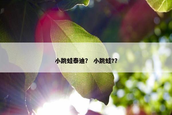 小跳蛙泰迪？ 小跳蛙?？