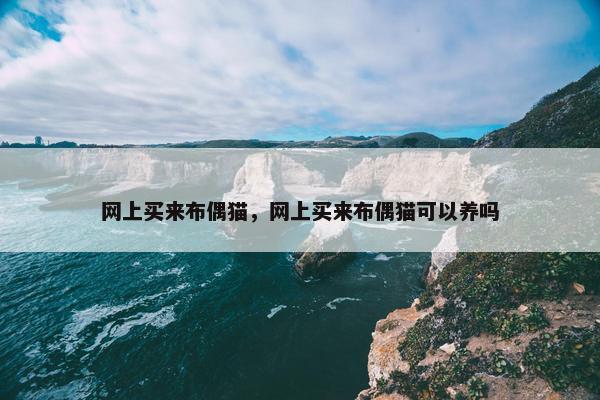 购买