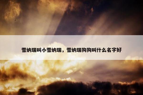 雪纳瑞叫小雪纳瑞，雪纳瑞狗狗叫什么名字好