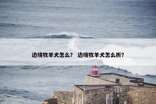边境牧羊犬怎么？ 边境牧羊犬怎么折？