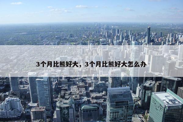 3个月比熊好大，3个月比熊好大怎么办
