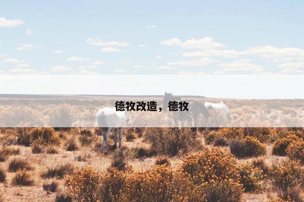 德牧改造,德牧