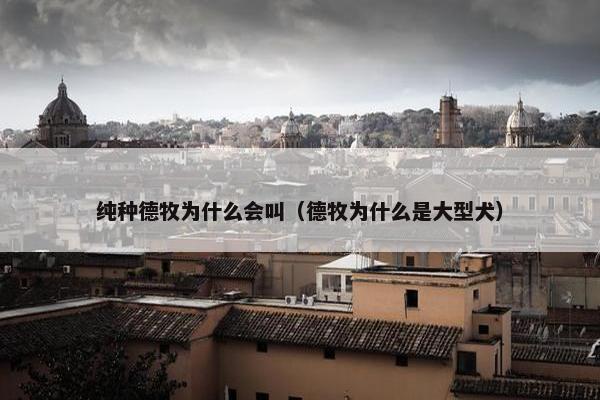 纯种德牧为什么会叫(德牧为什么是大型犬)