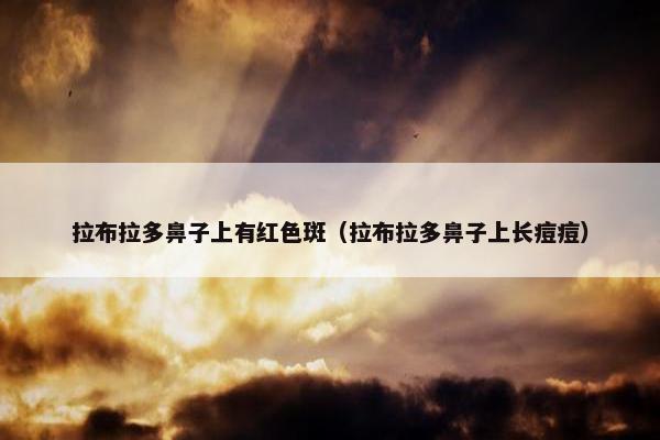 拉布拉多鼻子上有红色斑（拉布拉多鼻子上长痘痘）