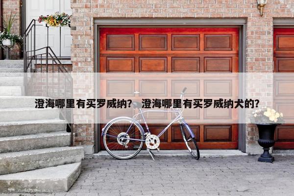 澄海哪里有买罗威纳？ 澄海哪里有买罗威纳犬的？