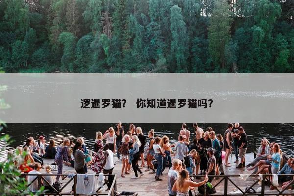 逻暹罗猫？ 你知道暹罗猫吗？