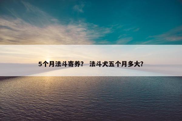 开销