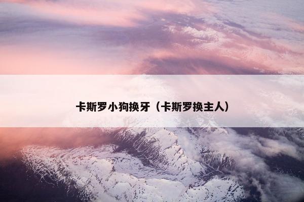 斯罗 第3页