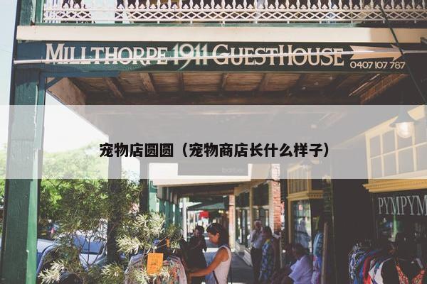 宠物店圆圆(宠物商店长什么样子)
