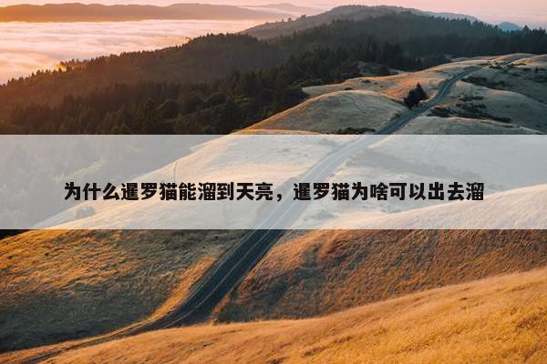 为什么暹罗猫能溜到天亮，暹罗猫为啥可以出去溜