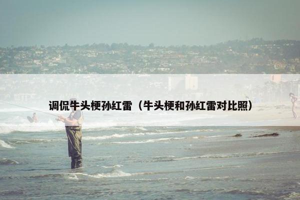 调侃牛头梗孙红雷（牛头梗和孙红雷对比照）
