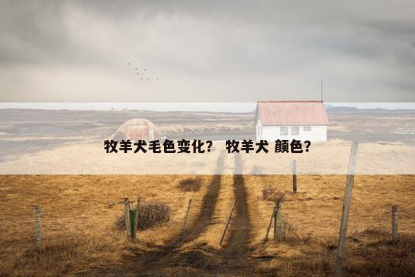 牧羊犬毛色变化? 牧羊犬 颜色?