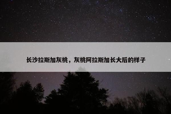大约
