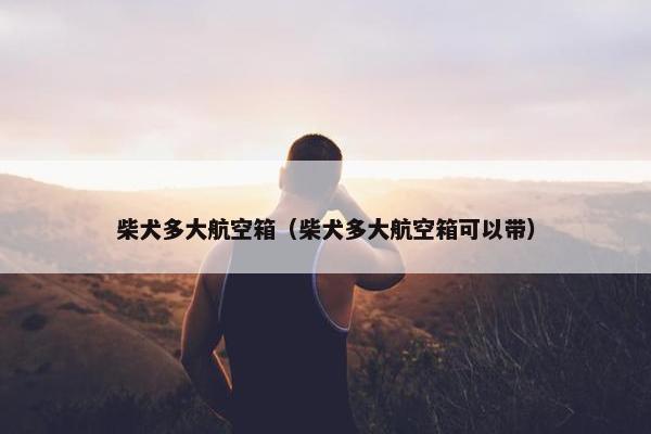 柴犬多大航空箱(柴犬多大航空箱可以带)