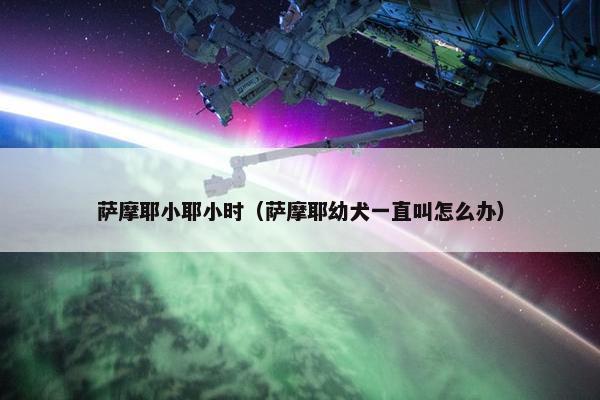 萨摩耶小耶小时(萨摩耶幼犬一直叫怎么办)