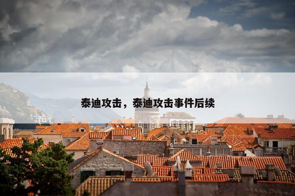 泰迪攻击，泰迪攻击事件后续