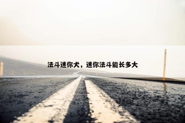 法斗迷你犬，迷你法斗能长多大