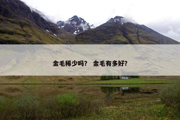 梦想启航 第89页