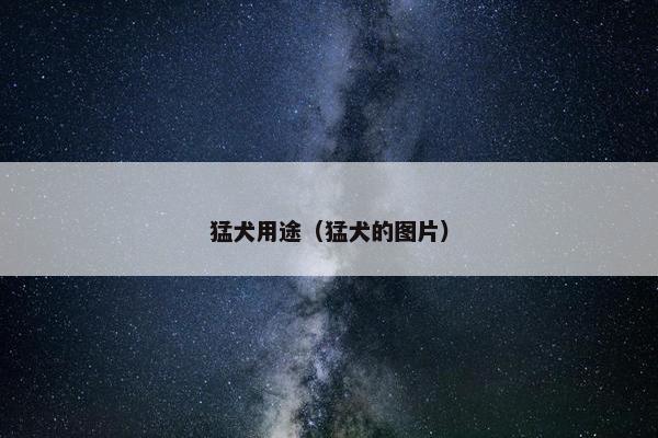 猛犬用途（猛犬的图片）