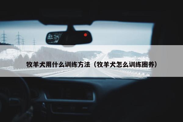 牧羊犬用什么训练方法（牧羊犬怎么训练圈养）