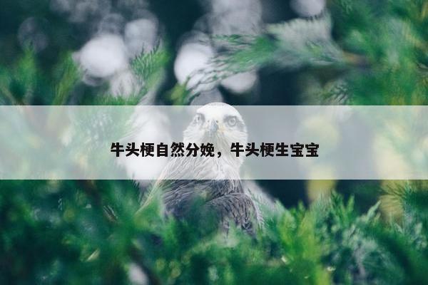 近亲