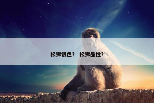 松狮银色? 松狮品性?