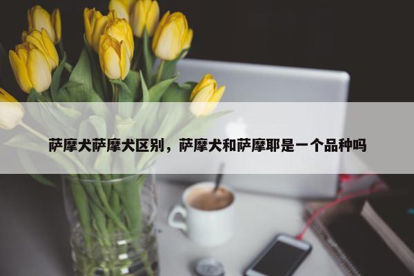 萨摩犬萨摩犬区别，萨摩犬和萨摩耶是一个品种吗