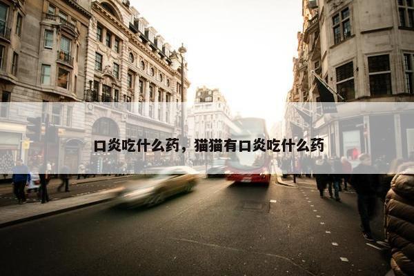 口炎吃什么药，猫猫有口炎吃什么药