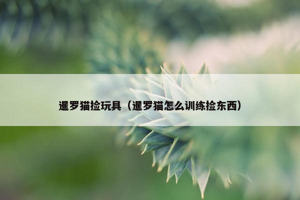 菲律宾