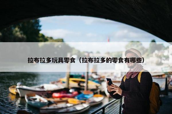 拉布拉多玩具零食（拉布拉多的零食有哪些）