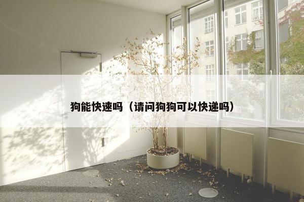 狗能快速吗（请问狗狗可以快递吗）
