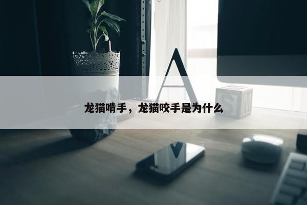 龙猫啃手，龙猫咬手是为什么