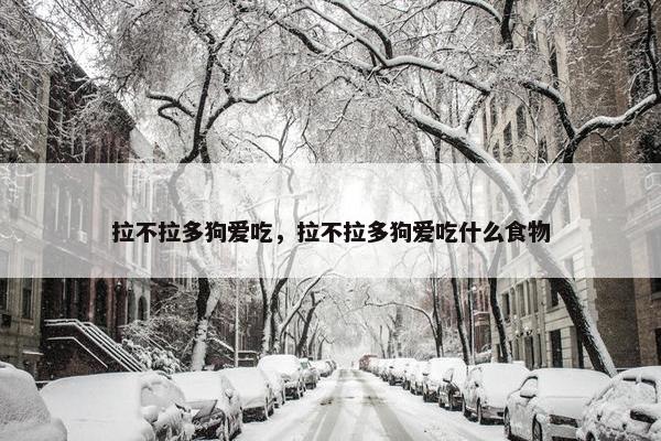 拉不拉多狗爱吃，拉不拉多狗爱吃什么食物