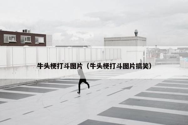 牛头梗打斗图片（牛头梗打斗图片搞笑）