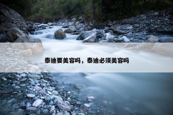泰迪要美容吗，泰迪必须美容吗