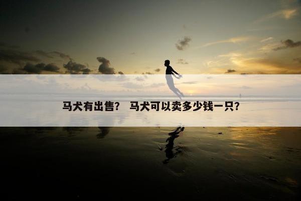 马犬有出售？ 马犬可以卖多少钱一只？