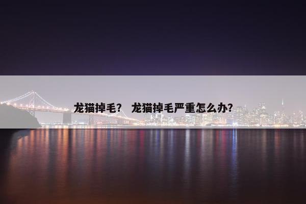 龙猫掉毛？ 龙猫掉毛严重怎么办？