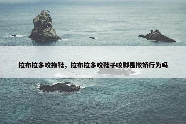 鞋子