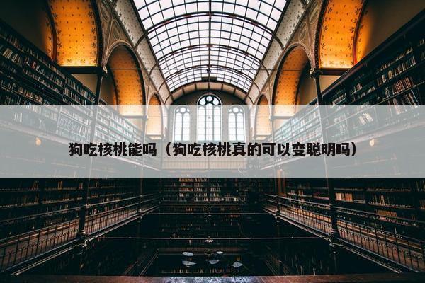 狗吃核桃能吗（狗吃核桃真的可以变聪明吗）