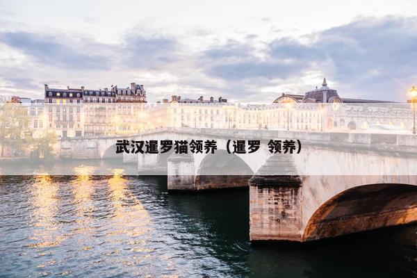 武汉暹罗猫领养（暹罗 领养）