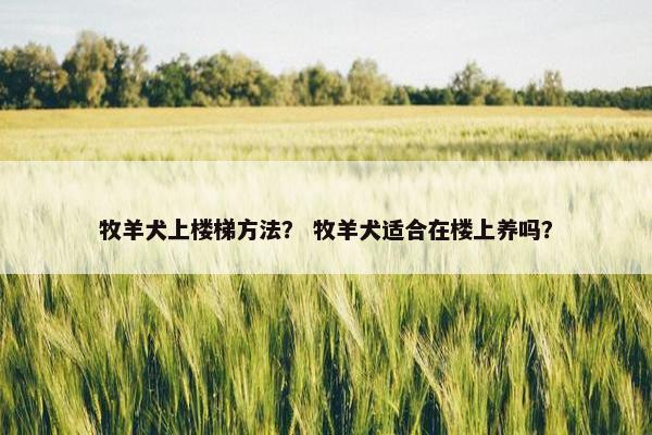 牧羊犬上楼梯方法？ 牧羊犬适合在楼上养吗？