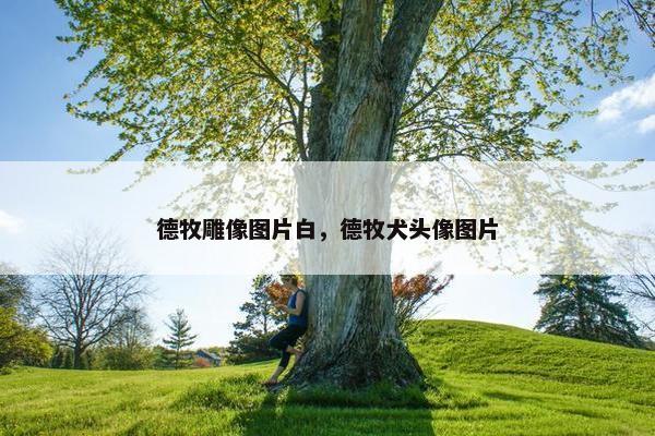 德牧雕像图片白，德牧犬头像图片